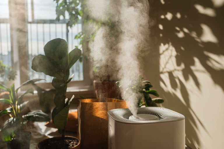 Professional indoor air quality testing and pollutant detection