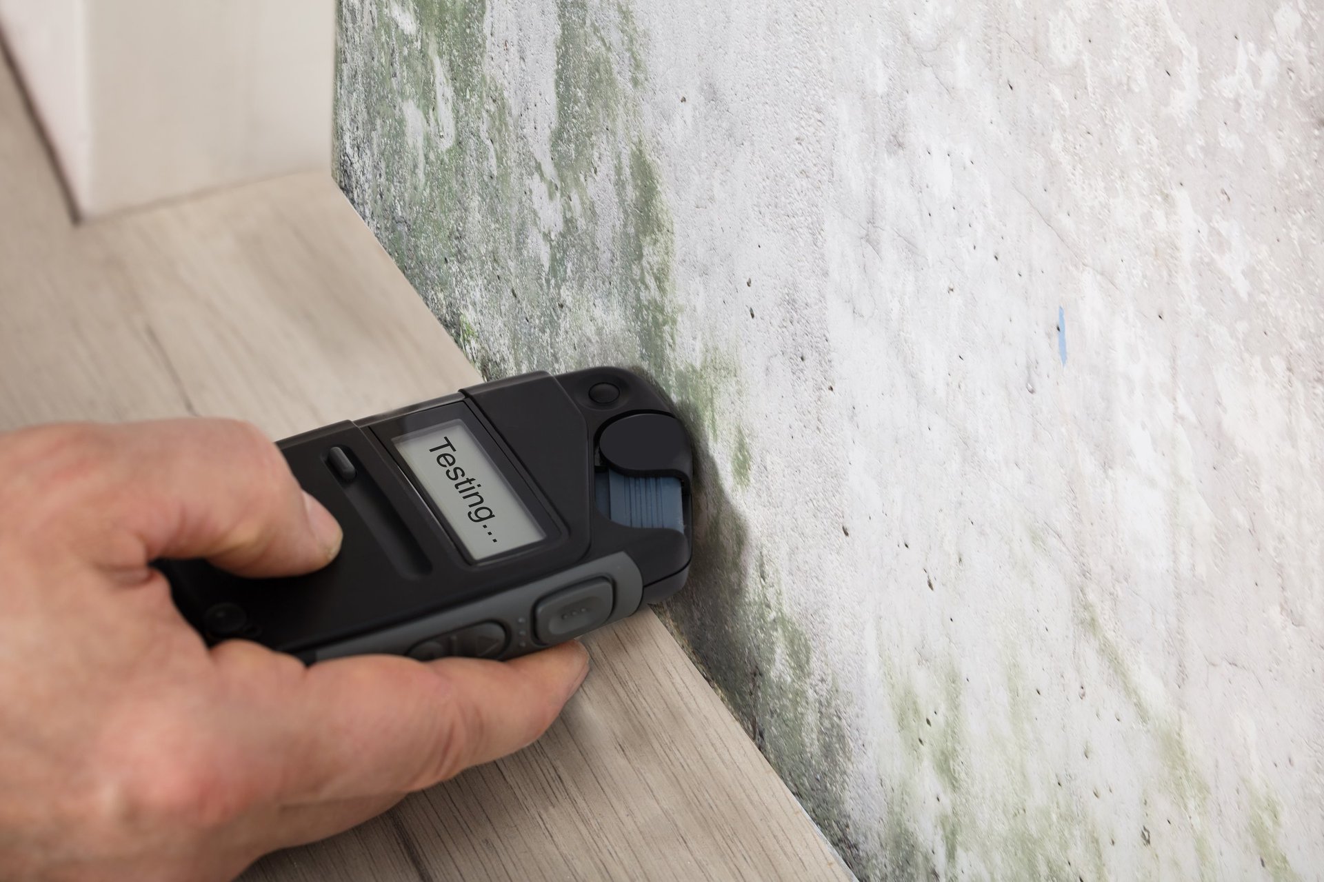 Professional mold assessment and air quality sampling services